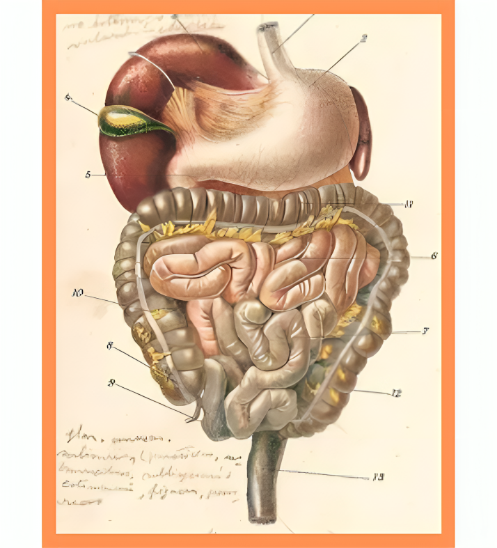 Best Gastroenterologist In Hyderabad