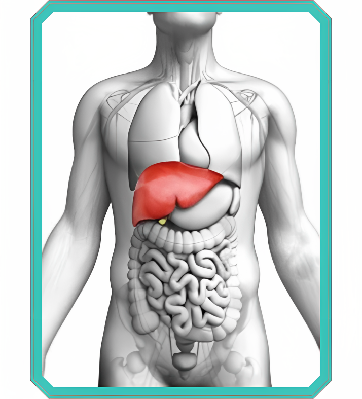 Top Gastroenterologist Dr Near me
