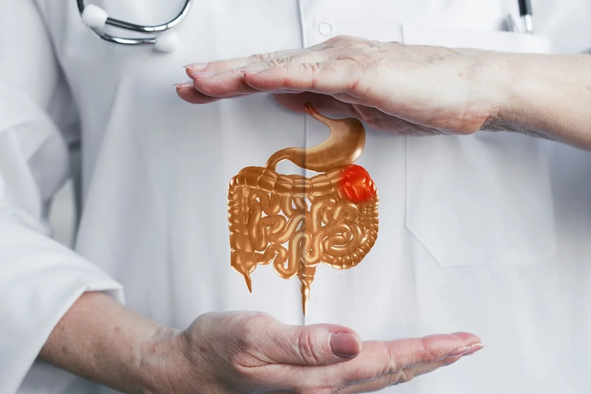 Doctor protecting digestive system showing stomach and intestines with highlighted gastrointestinal problem.
