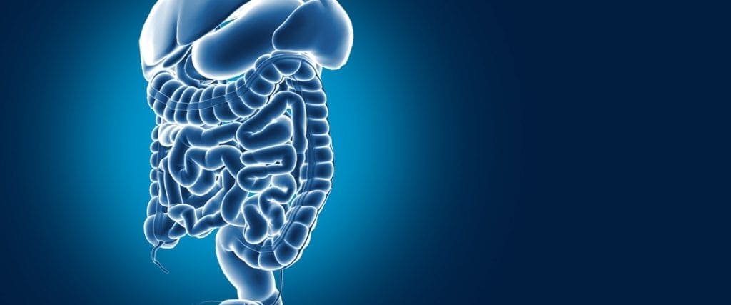 Best gastro services