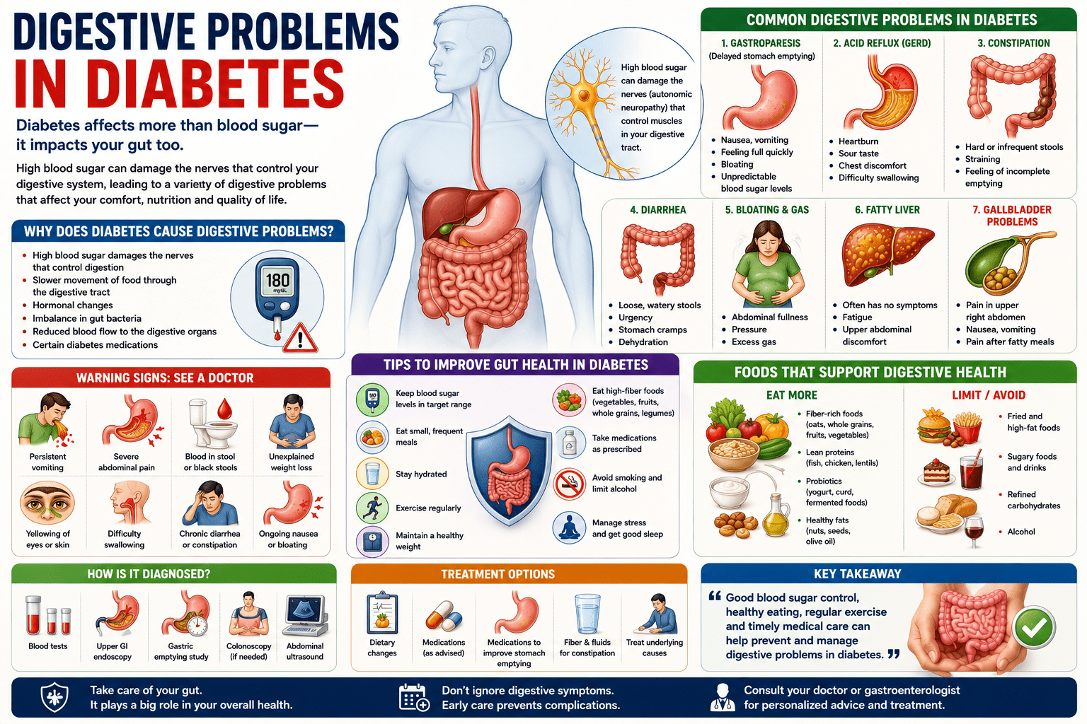 how diabetes affects the digestive system, highlighting common digestive complications such as gastroparesis, acid reflux (GERD), constipation, diarrhea, bloating, fatty liver disease, and gallbladder problems. The infographic also includes symptoms, warning signs, healthy dietary choices, blood sugar management tips, and treatment options to support better gut health in people with diabetes.
