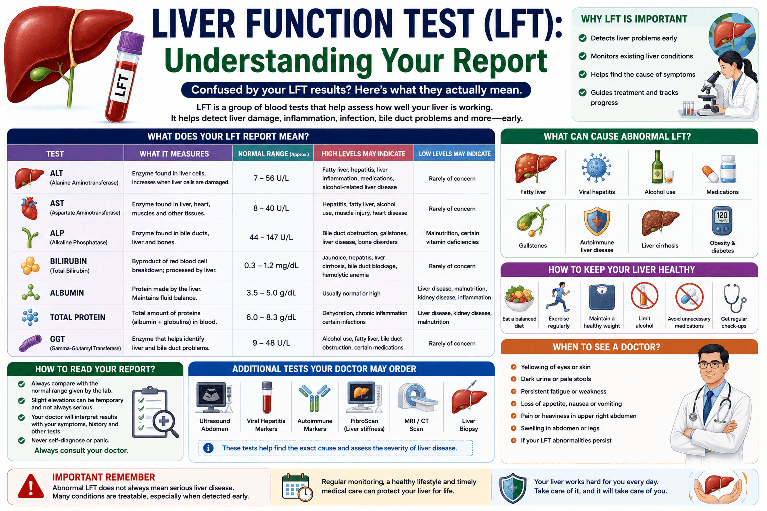 explaining how to understand a Liver Function Test (LFT) report. The infographic covers ALT, AST, ALP, bilirubin, albumin, GGT, and total protein, along with common causes of abnormal results, additional diagnostic tests, liver health tips, and warning signs that require consultation with a gastroenterologist.