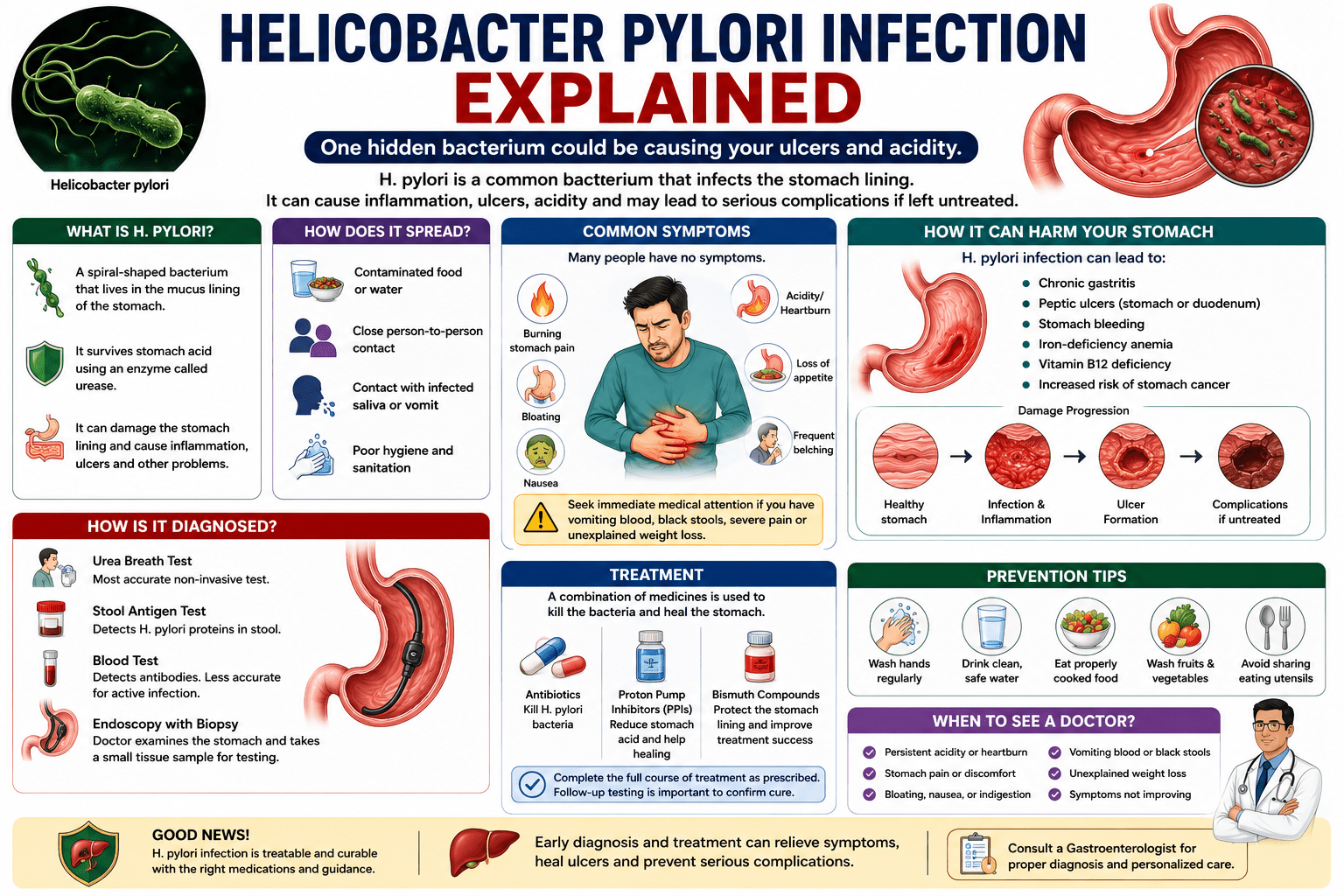 A comprehensive medical infographic explaining Helicobacter pylori (H. pylori) infection. The infographic illustrates how the bacterium infects the stomach lining, its common symptoms, causes, diagnostic tests, treatment options, possible complications such as ulcers and gastritis, prevention tips, and when to consult a gastroenterologist.