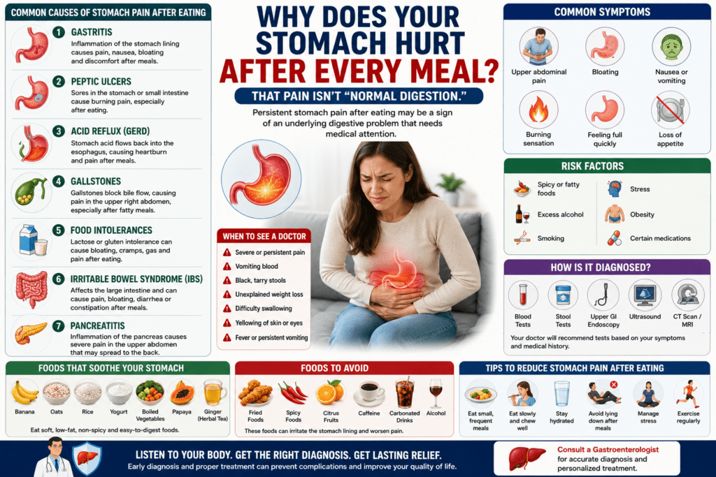 stomach pain after eating, with medical illustrations of the stomach and digestive system. The infographic highlights common causes such as gastritis, acid reflux (GERD), peptic ulcers, gallstones, food intolerances, IBS, and pancreatitis, along with symptoms, diagnosis, treatment options, gut-friendly foods, foods to avoid, and warning signs that require medical attention.